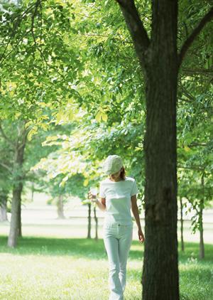 尾瀬ツアーで自然を満喫しましょう
