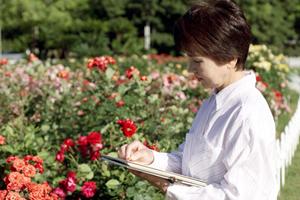 神戸三宮駅近くのビジネスホテル｜東横INN神戸三宮駅東の詳細情報と魅力