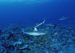 名古屋駅徒歩5分の便利な立地！東横INN名古屋駅桜通口新館の魅力と最新情報