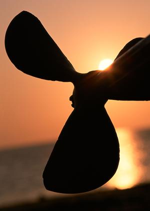 信頼と革新を融合した地域密着型サービス【店舗名】のご紹介