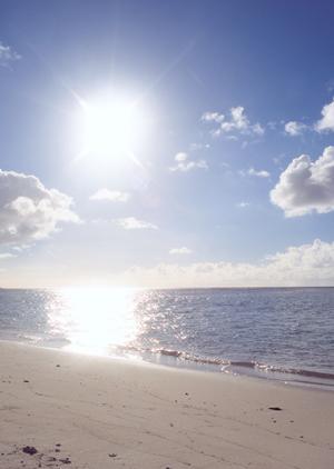 【公式】東横INN松江駅前｜島根県松江市のビジネスホテルの魅力と詳細情報