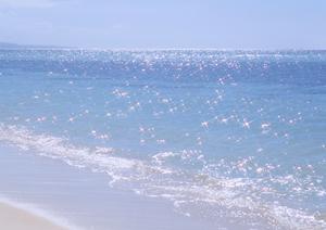 鹿児島市のビジネスホテル「東横INN鹿児島天文館2」の魅力と詳細情報