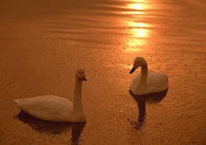 熱海駅から徒歩4分の快適ビジネスホテル ? 東横INN熱海駅前の魅力と詳細情報