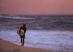 システムメンテナンスのお知らせ：サービス停止期間と影響について