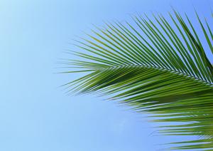 東横INN町田駅小田急線東口｜快適な滞在と便利なアクセスを誇るビジネスホテル