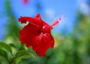 東横INN大邱東城路：快適な宿泊体験を提供する韓国のビジネスホテル