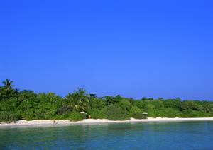 京都観光やビジネス出張に最適！東横INN京都四条烏丸の魅力と基本情報