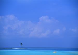 スキーをするなら白馬で決まり