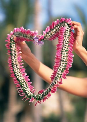 JR九州ホテル鹿児島 – 快適な宿泊体験を提供する駅直結のホテル