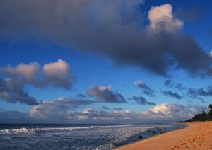 青森県弘前市のビジネスホテル｜東横INN弘前駅前で快適な宿泊体験を提供