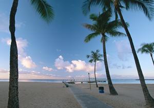 東京の夜景と伝統を満喫できる！屋形船の魅力と選び方ガイド