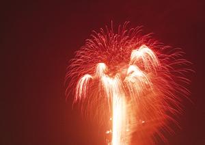 【公式】東横INN東西線西葛西｜アクセス便利で快適なビジネス・観光ホテルの魅力と特徴